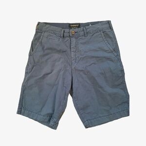 American Eagle Outfitters Men's Blue Shorts